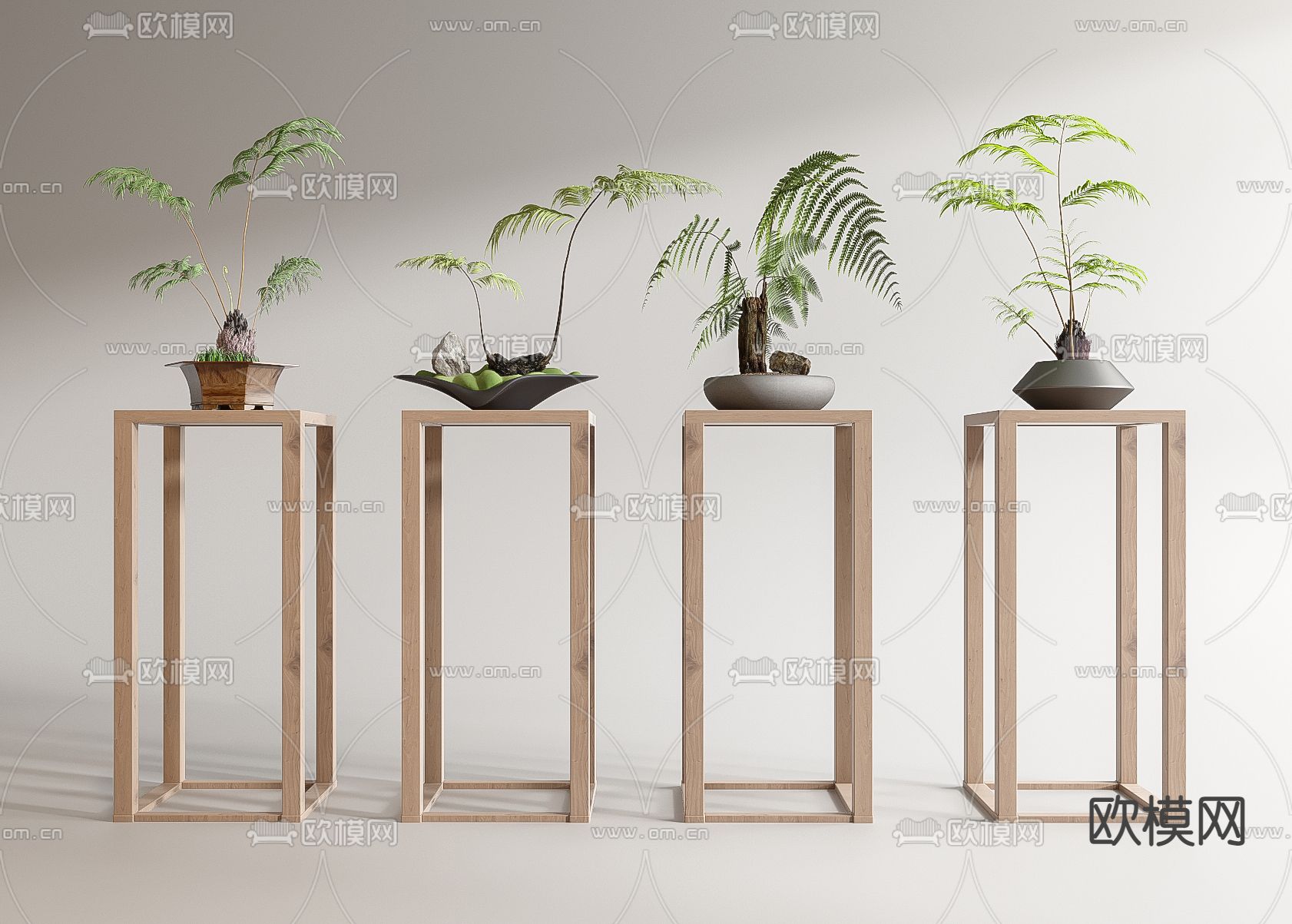 蕨类盆栽 盆景3d模型下载