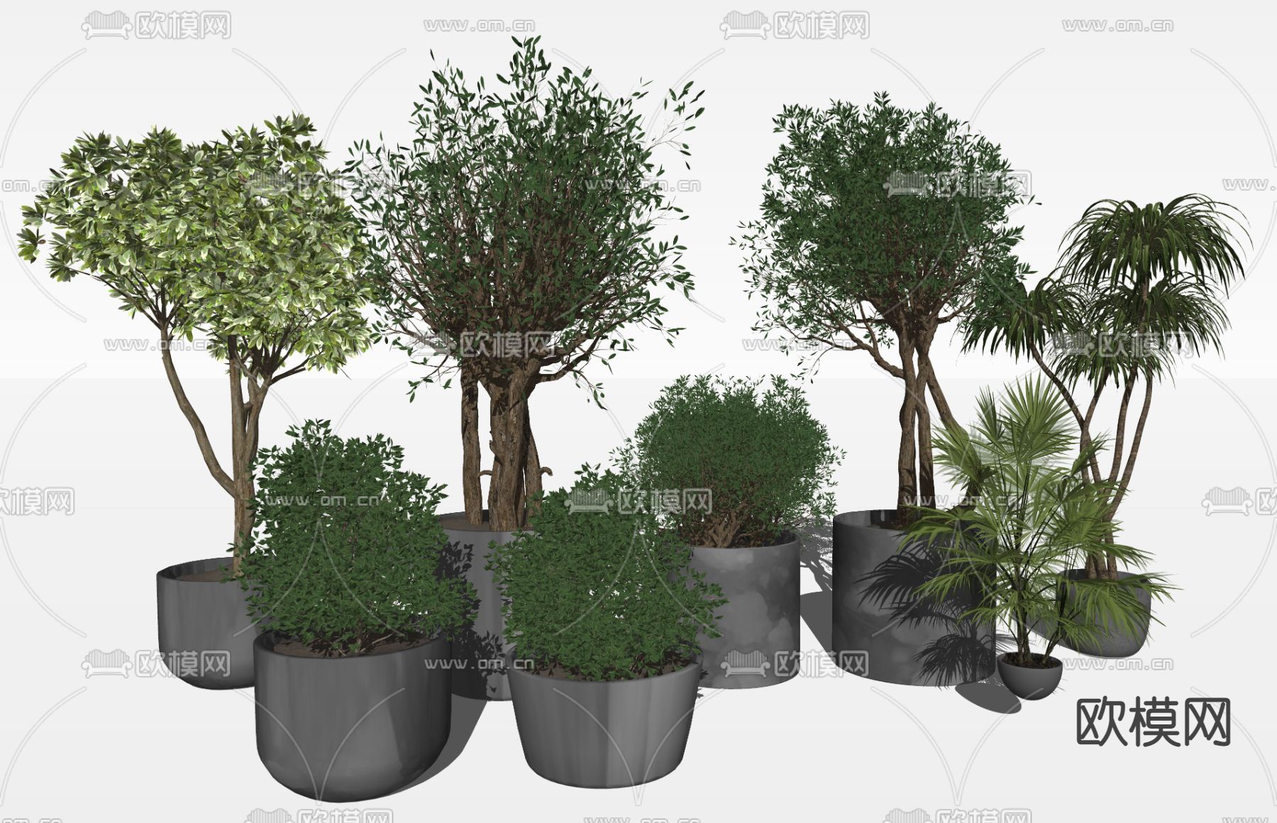 盆栽 盆景su模型