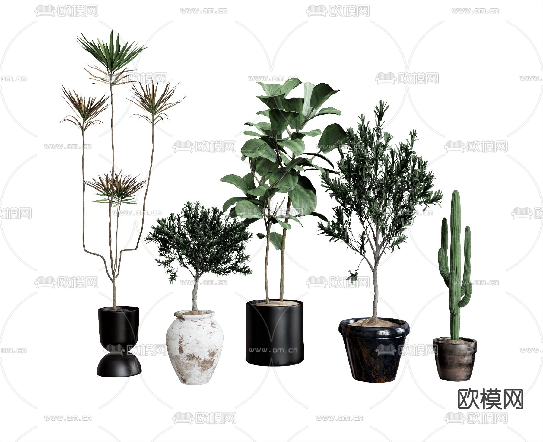 盆栽 盆景su模型下载（渲染图1）