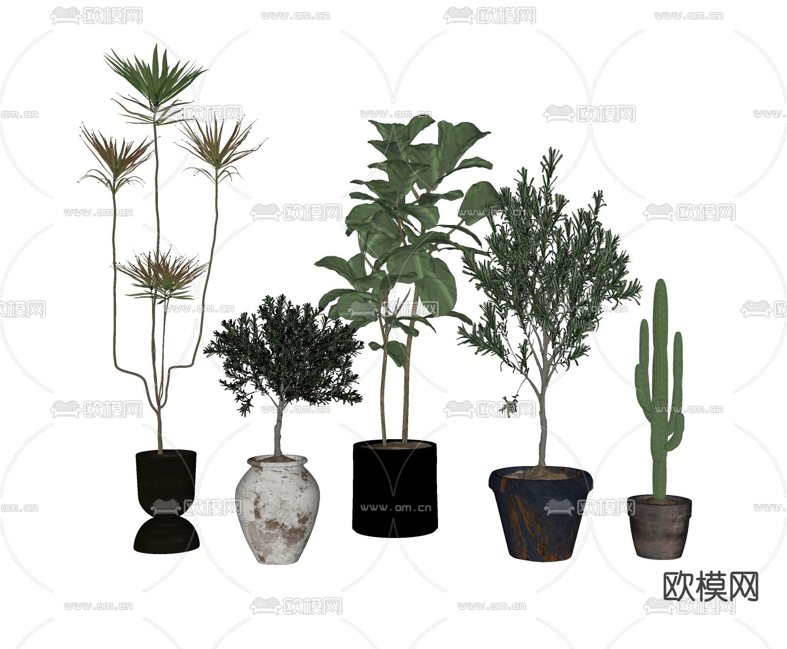 盆栽 盆景su模型下载（渲染图2）
