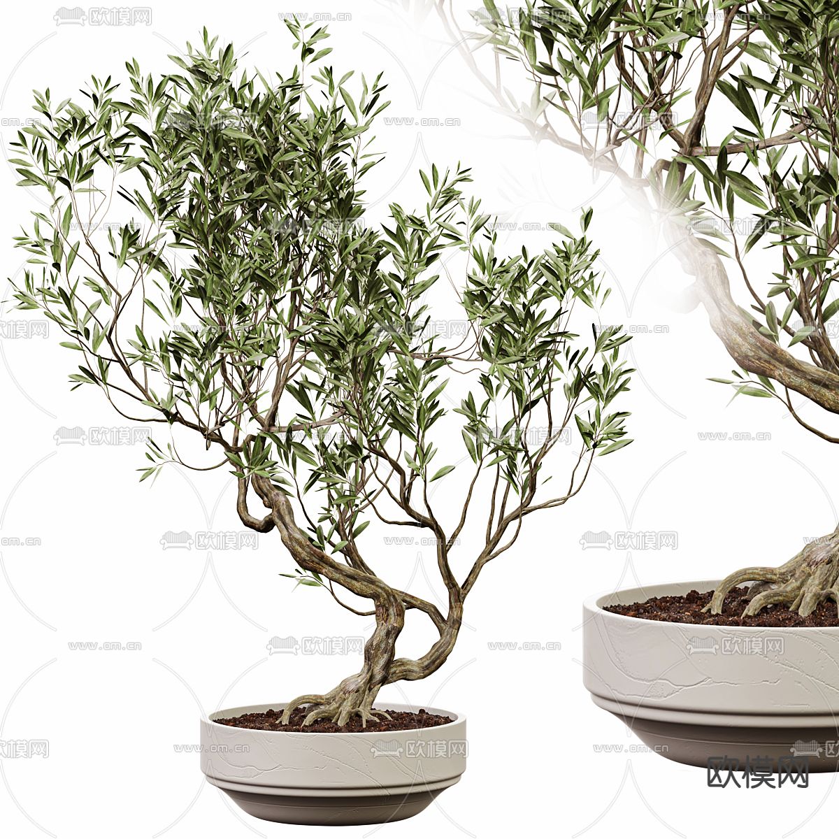 盆栽 盆景3d模型下载（渲染图1）