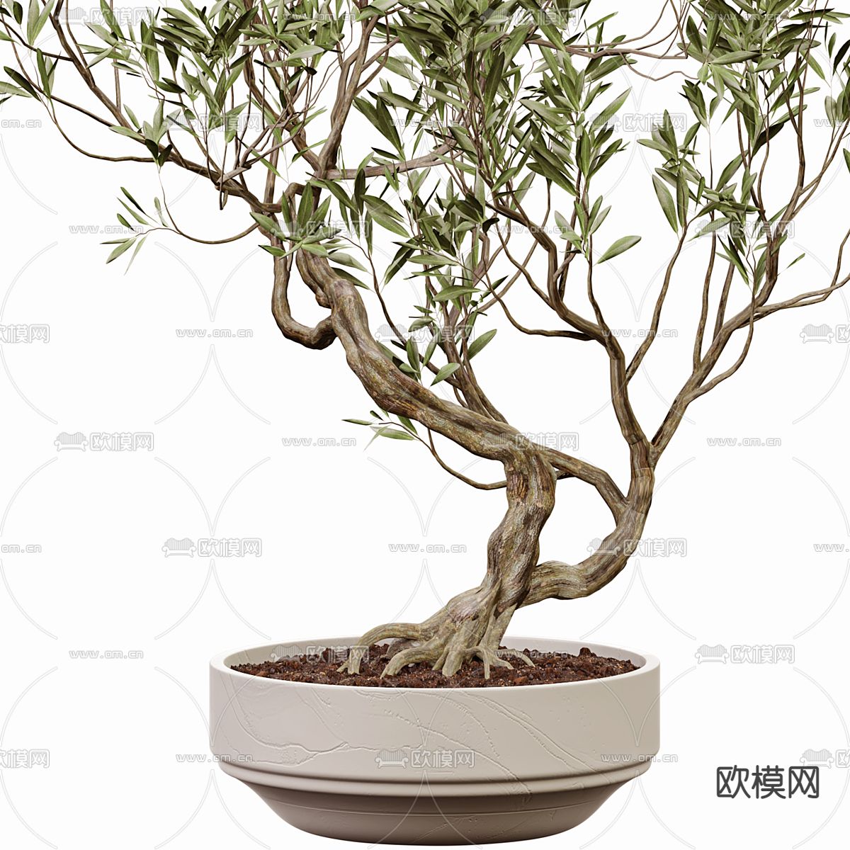 盆栽 盆景3d模型下载（渲染图2）