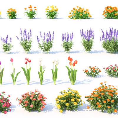  郁金香 薰衣草 花卉花草su模型 