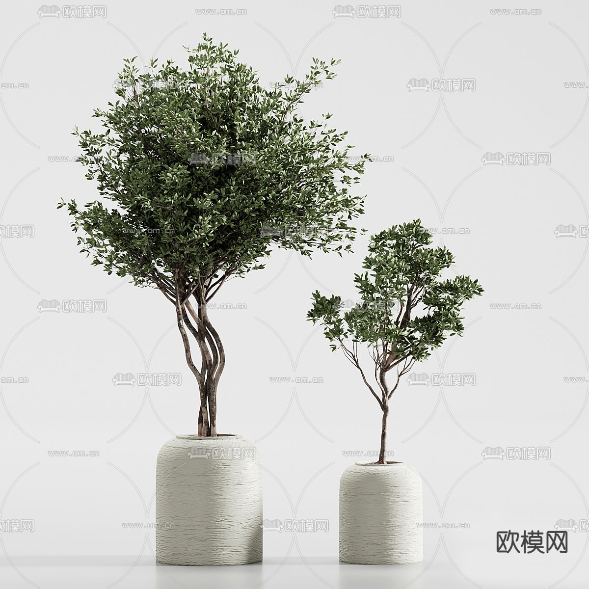 盆栽 盆景3d模型下载（渲染图2）