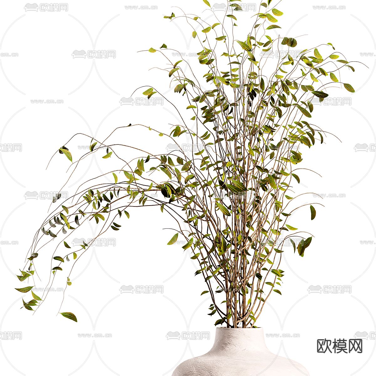 水生植物 水培植物3d模型