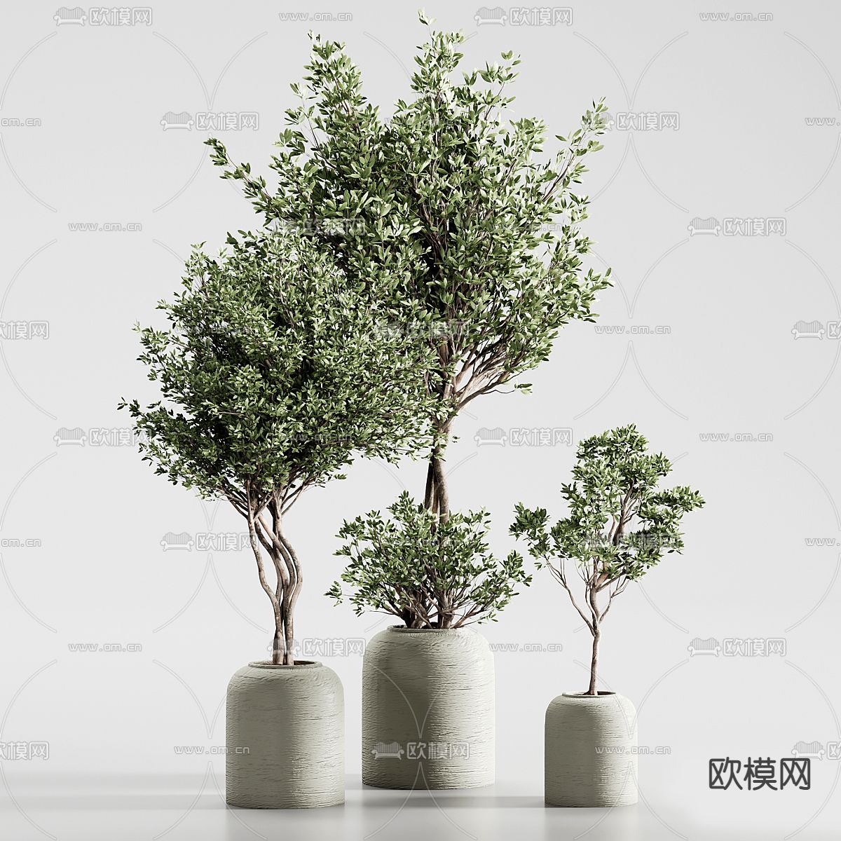 盆栽 盆景3d模型下载（渲染图3）