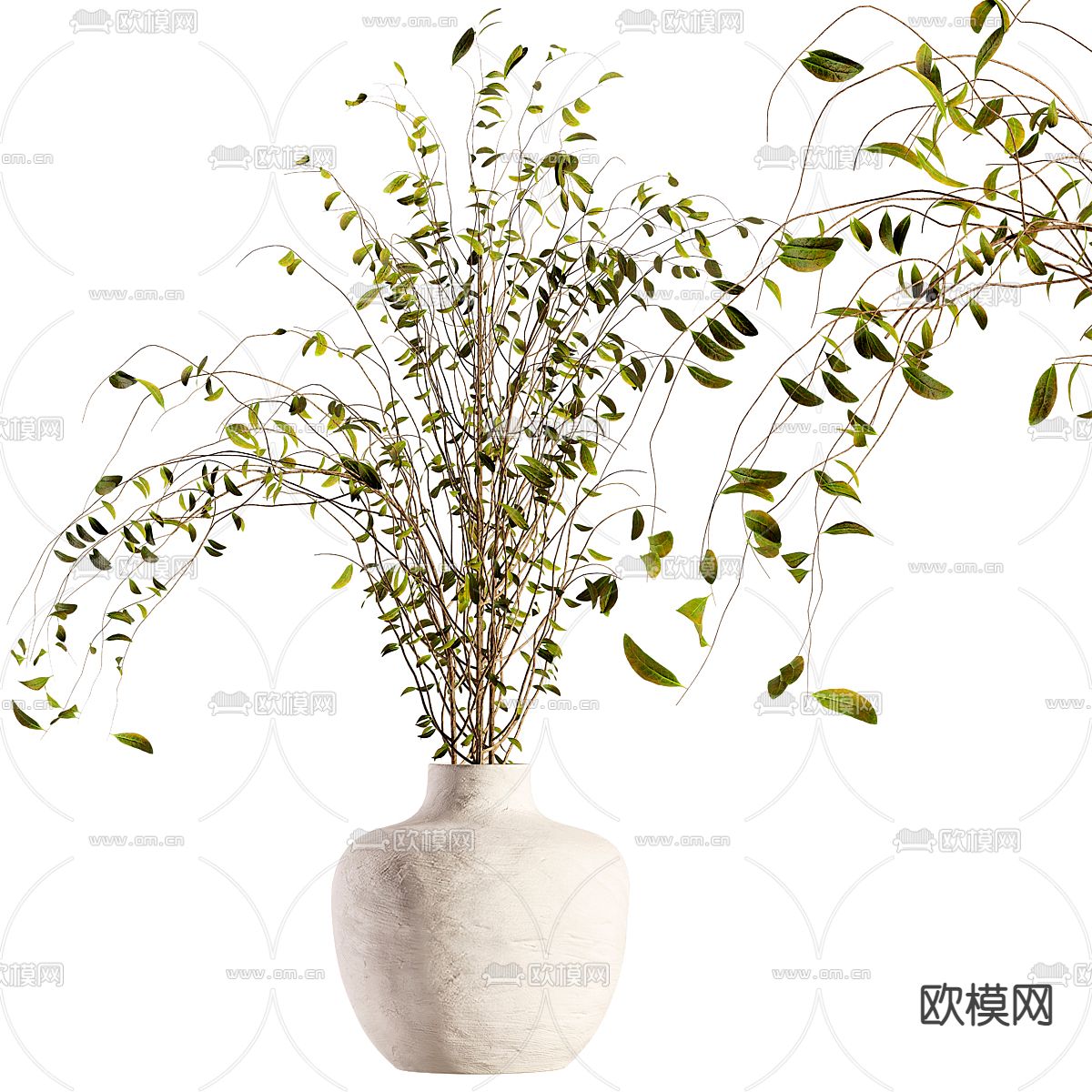 水生植物 水培植物3d模型
