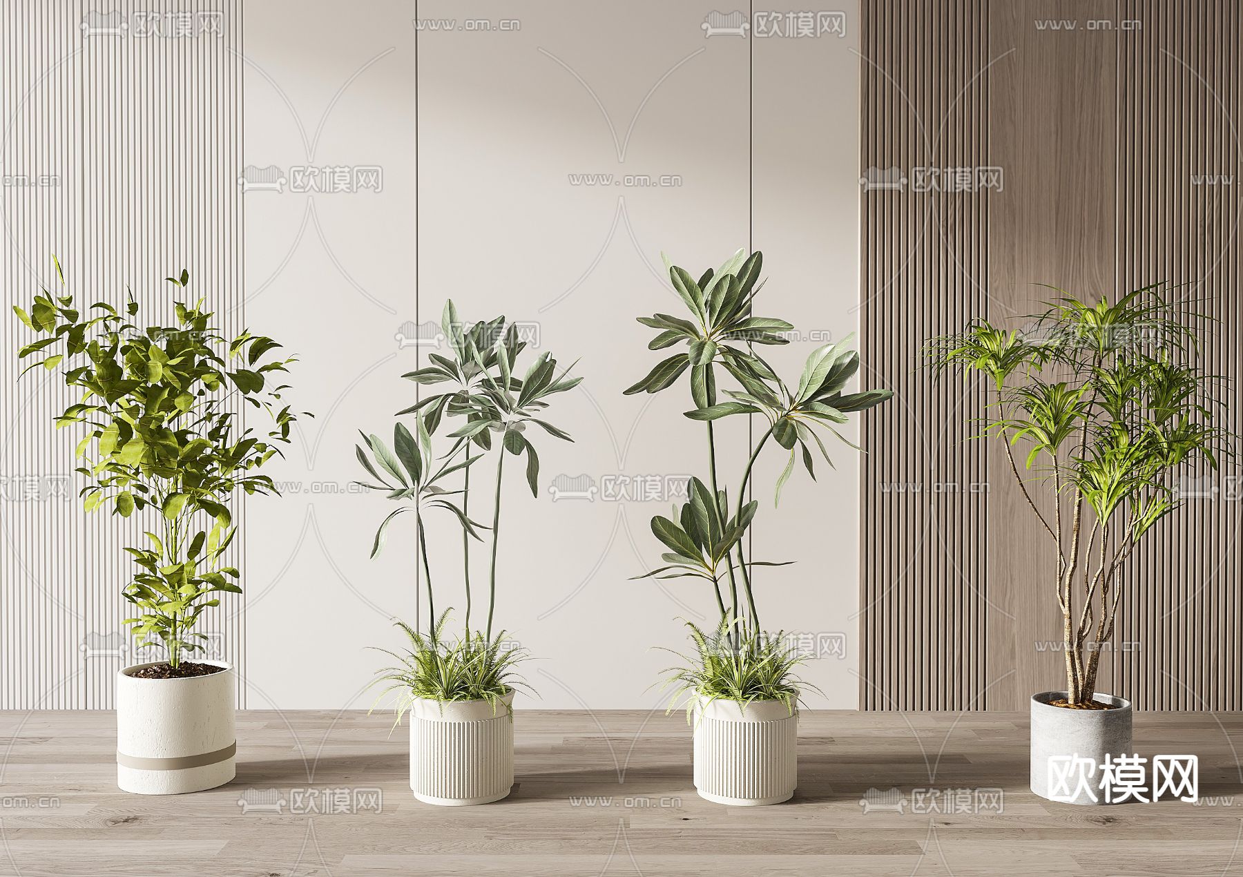 盆栽 盆景3d模型下载