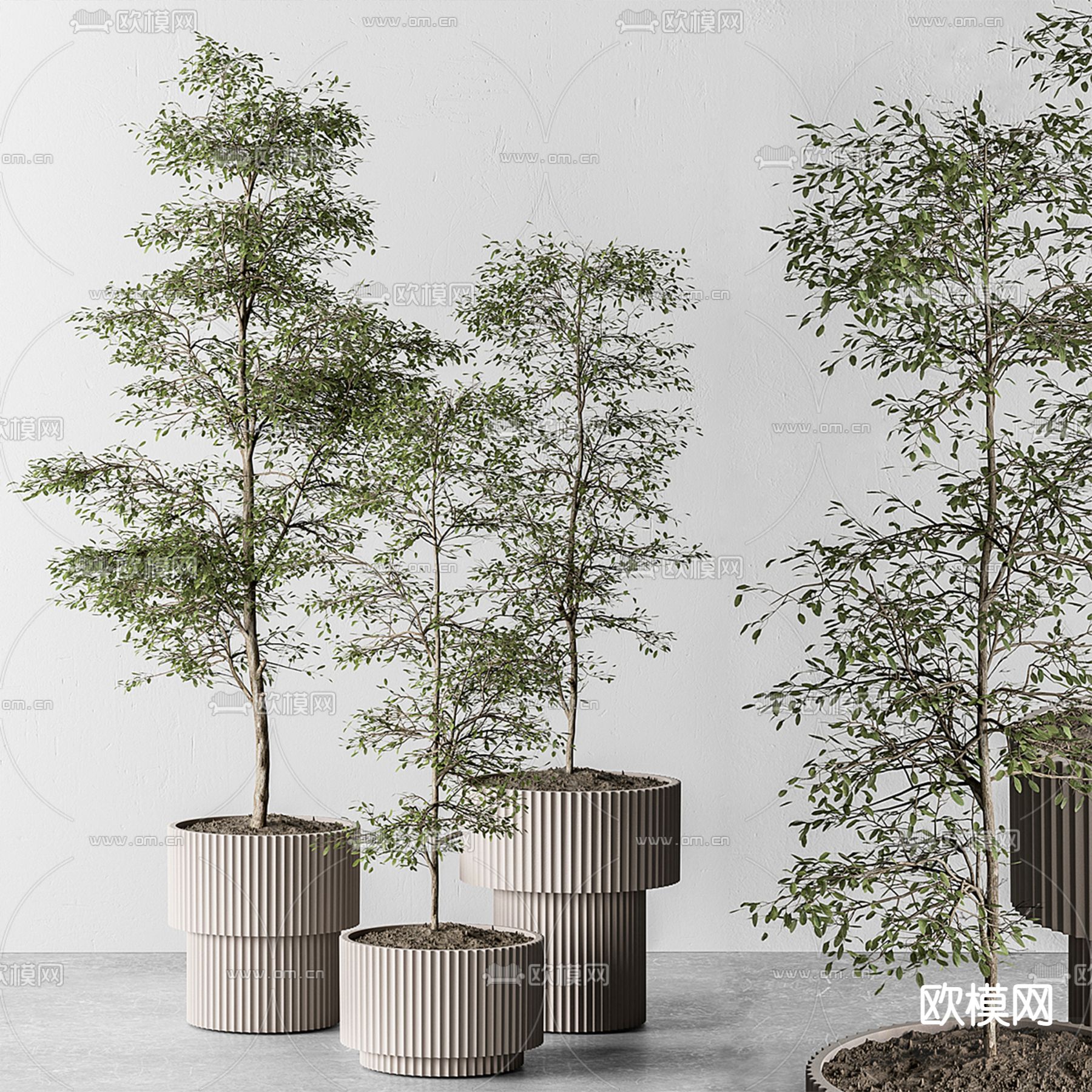 盆栽 盆景3d模型下载_ID14108487_3dmax免费模型-欧模网