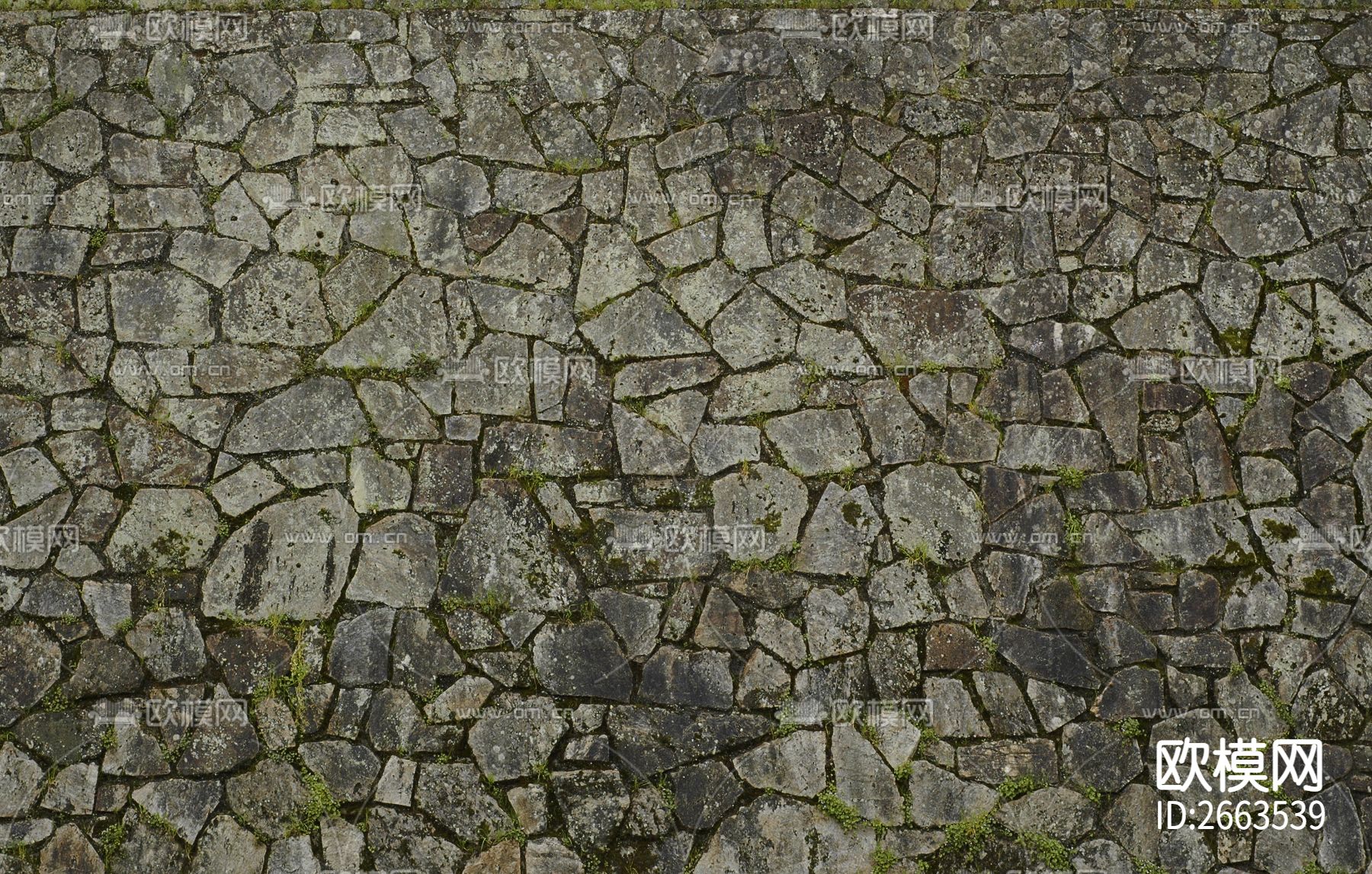 自然石 青苔石下载