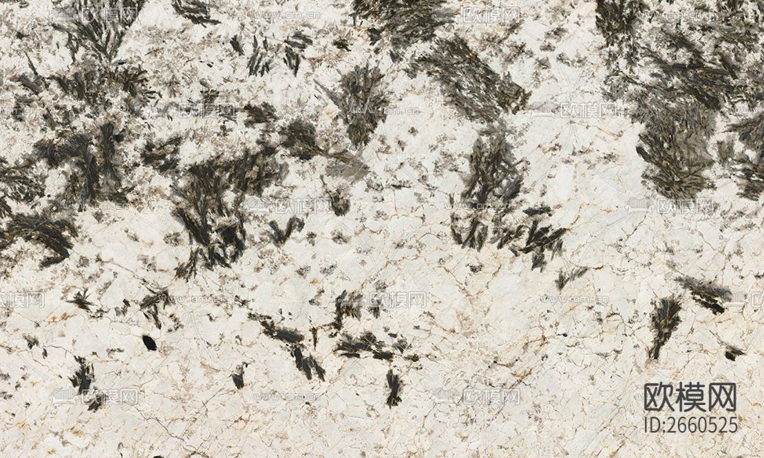 雪山银狐 大理石