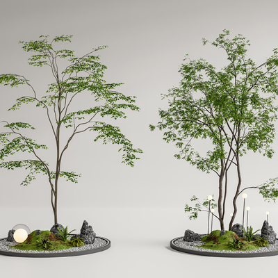 现代树池 景观树su模型