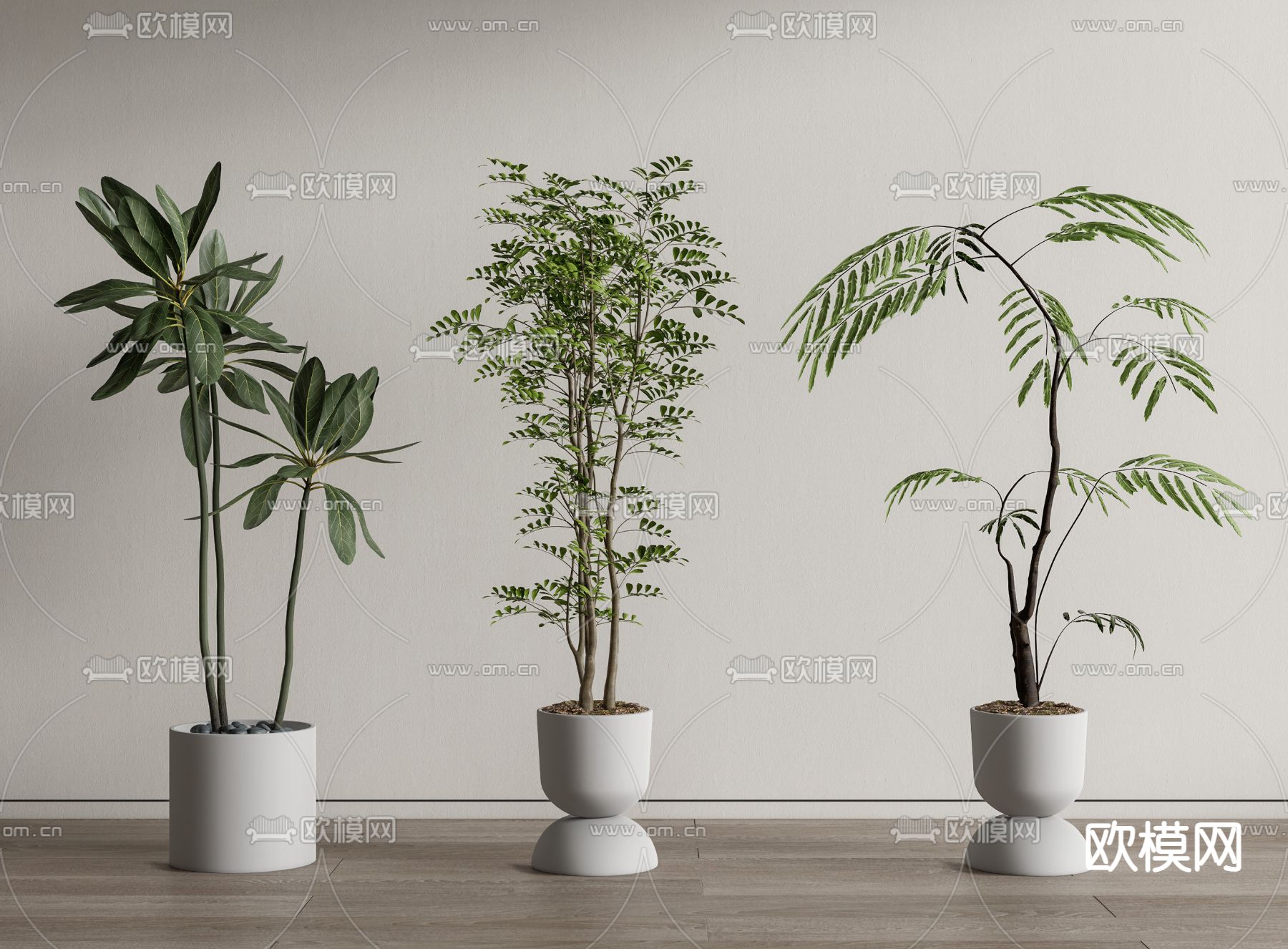 盆栽 盆景3d模型下载_ID14111531_3dmax免费模型-欧模网