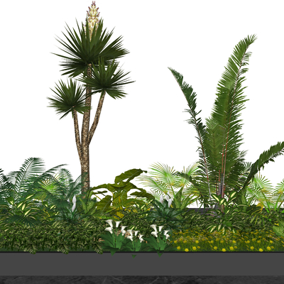  热带植物  植物花坛su模型 