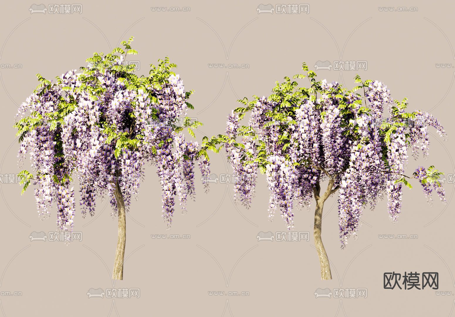 紫藤花树 景观树 树木su模型