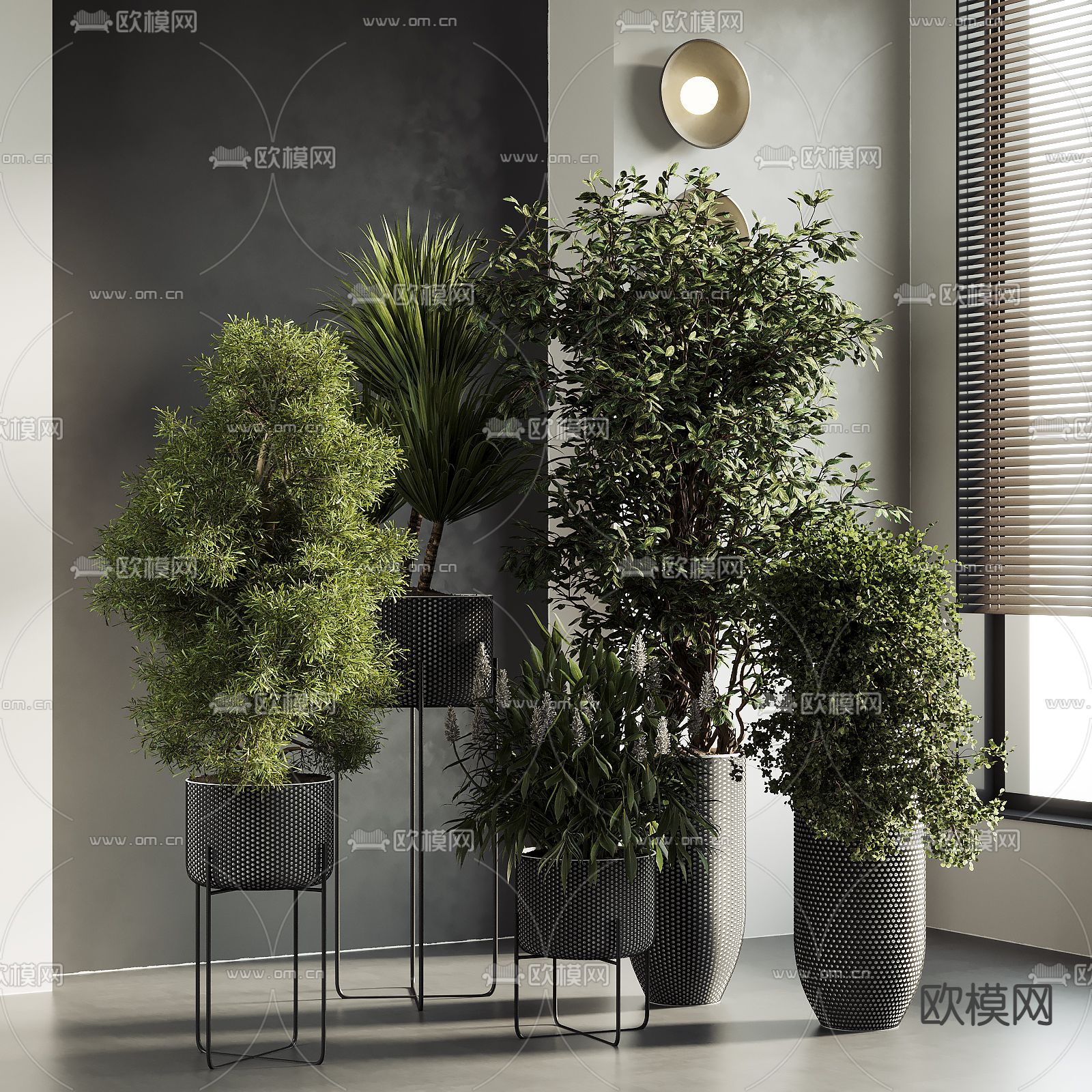 侘寂风盆栽 盆景su模型