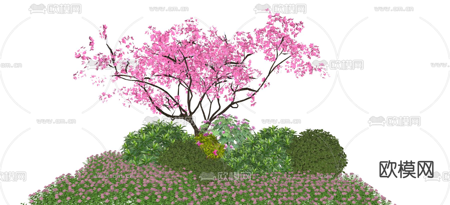 黄杨球植物su模型下载（渲染图2）