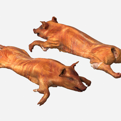  烤乳猪 食物su模型 