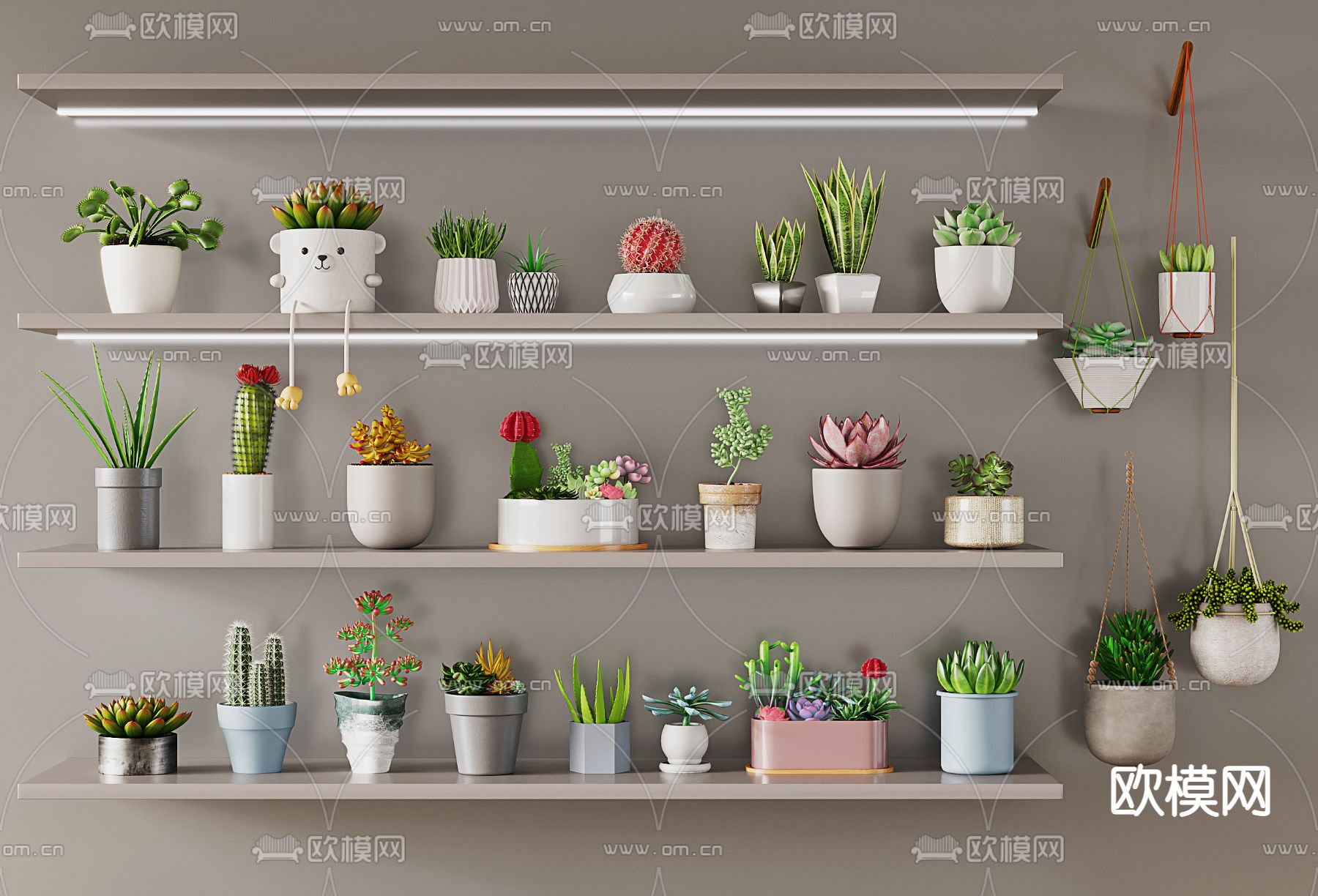 多肉盆栽3d模型下载