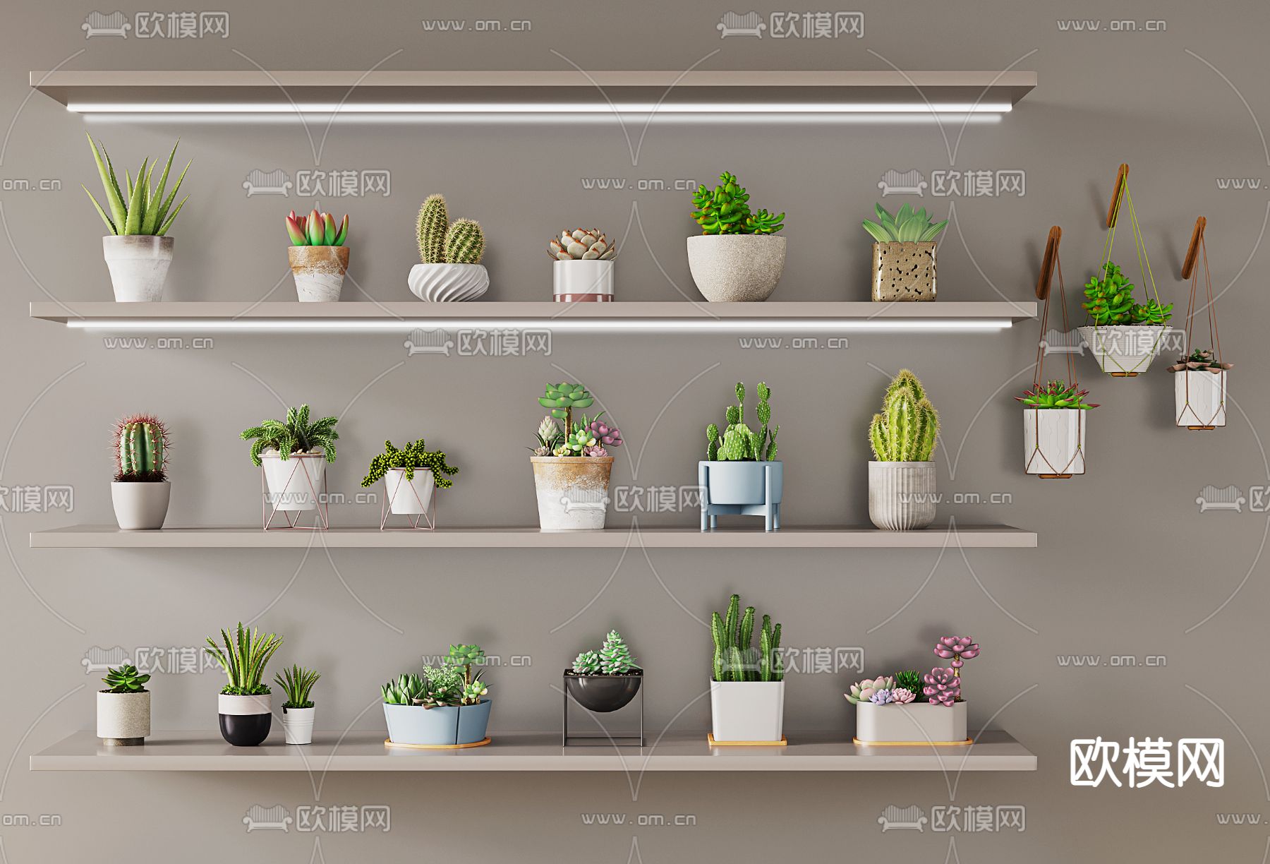 多肉盆栽 小盆景3d模型