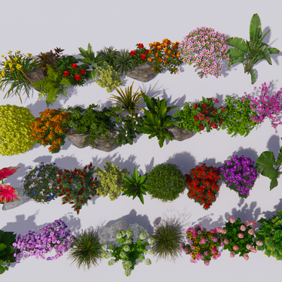  花草花卉灌木su模型 