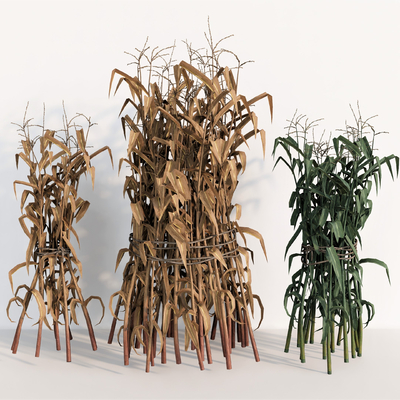  玉米杆 草杆 捆装枯草su模型 