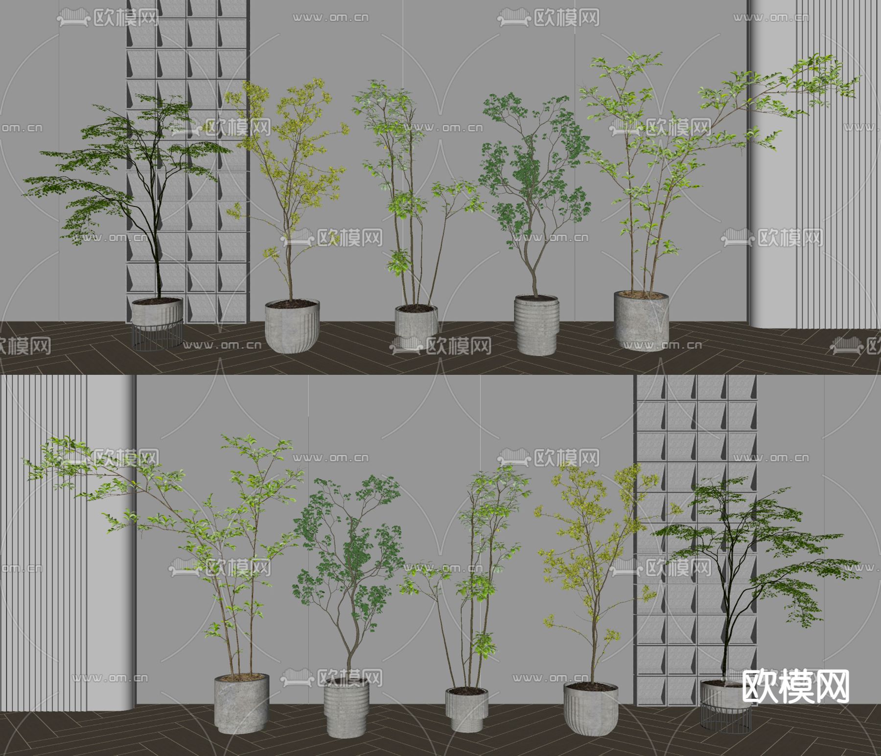 盆栽 盆景su模型下载（渲染图2）