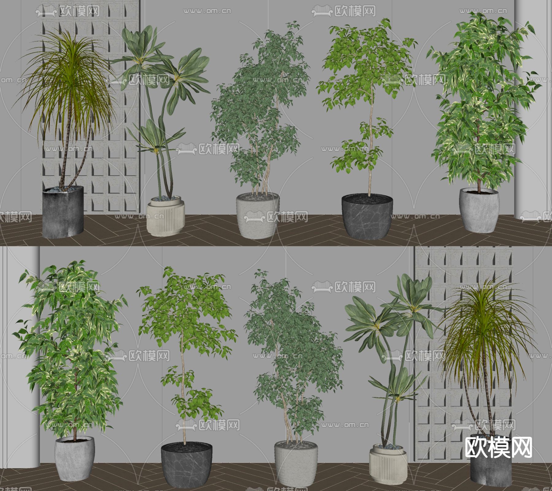 绿植盆栽su模型