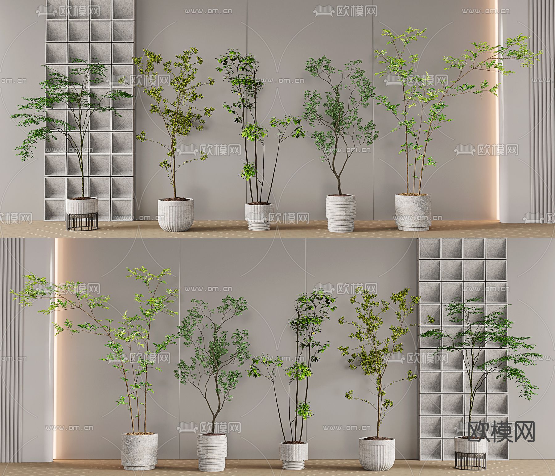 盆栽 盆景su模型下载（渲染图1）