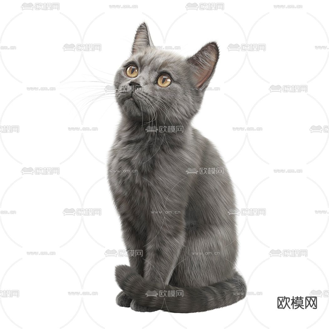 宠物猫 黑猫3d模型下载