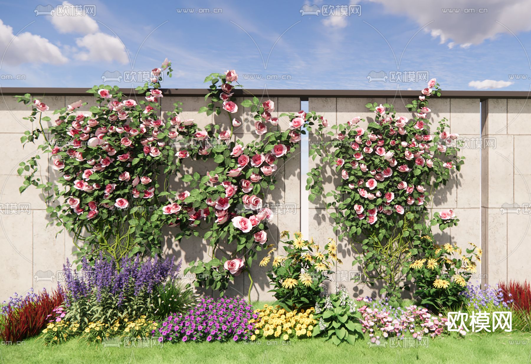 月季爬藤花草su模型下载（渲染图1）