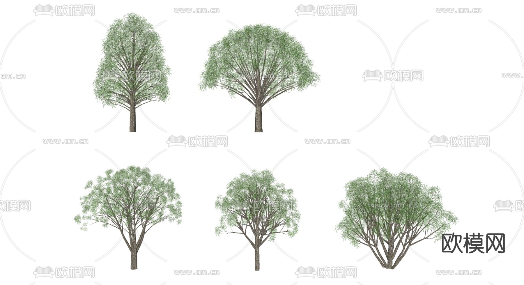桂花树su模型下载