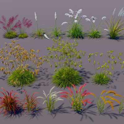  狗尾草 芦苇 花草su模型 