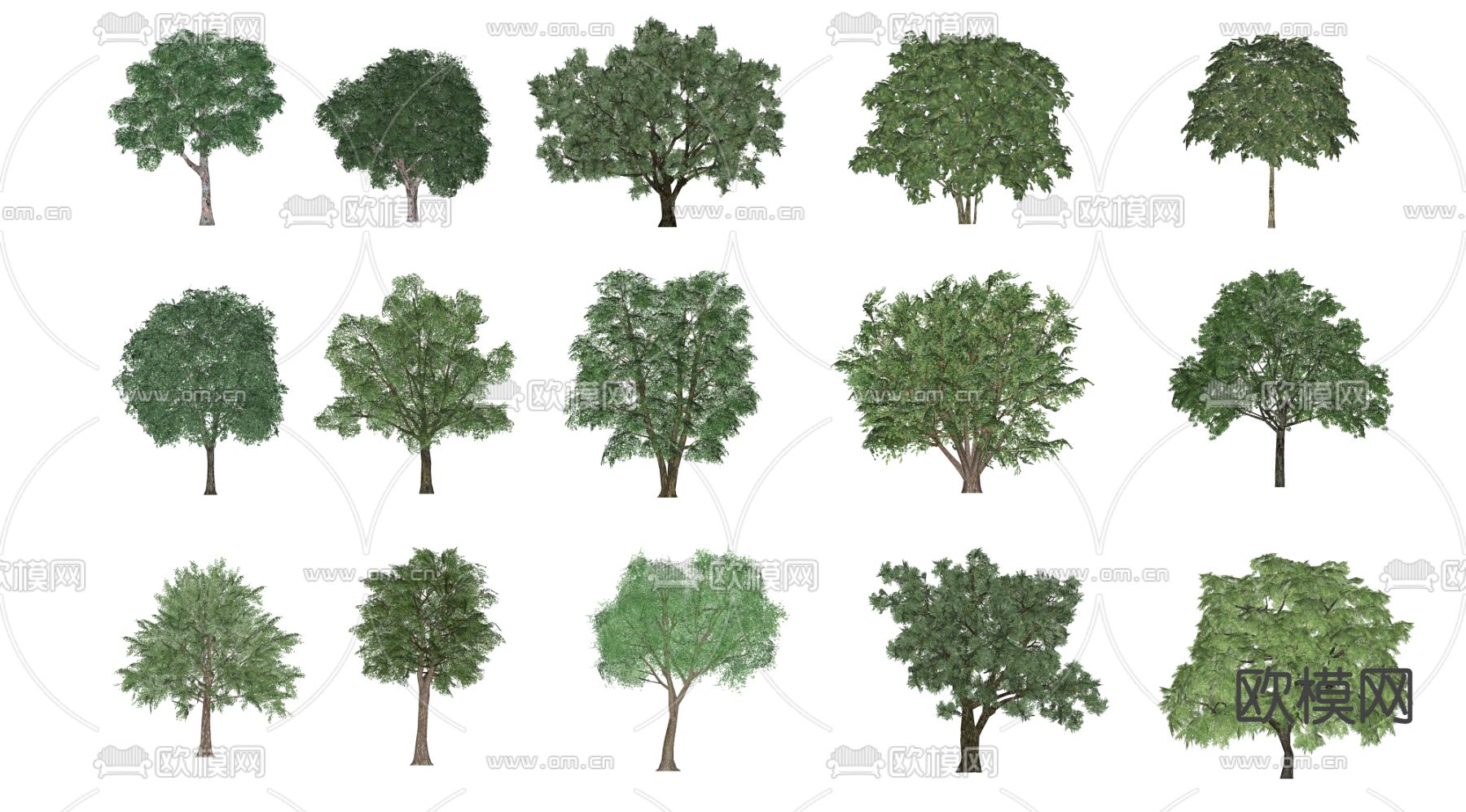 乔木景观树su模型下载