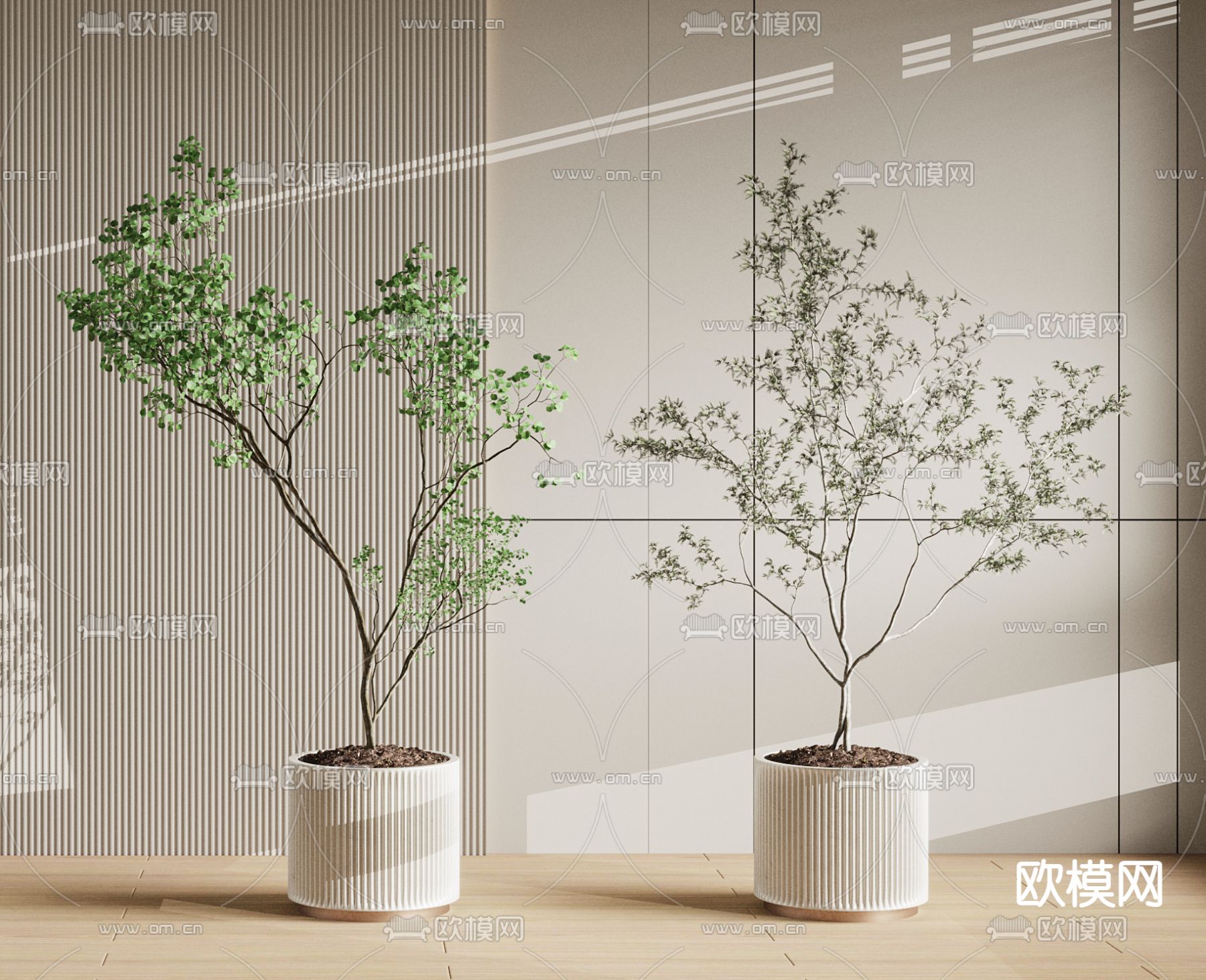 绿植盆栽 盆景3d模型下载