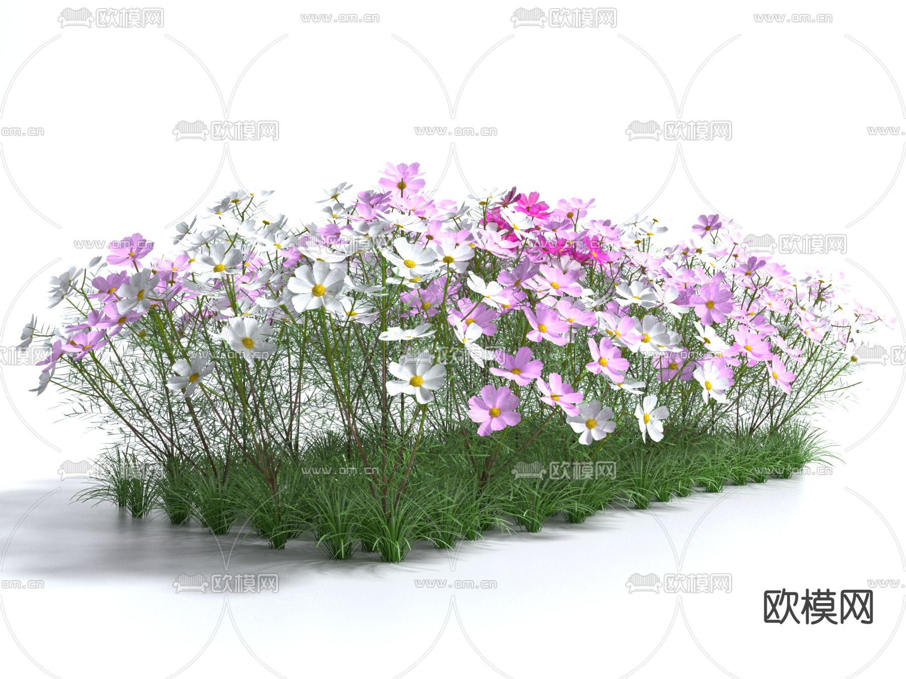 花草3d模型下载_ID14133167_3dmax免费模型-欧模网