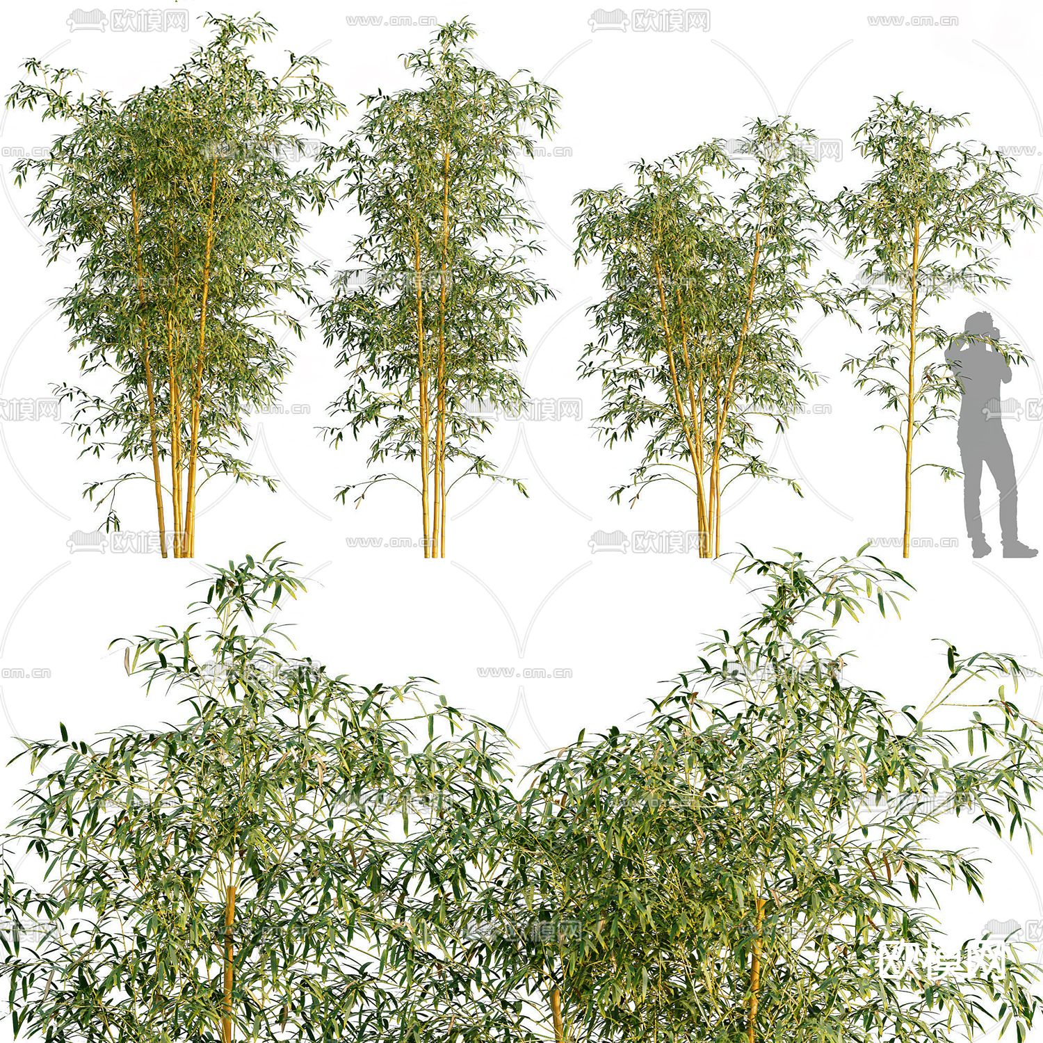 竹子3d模型下载