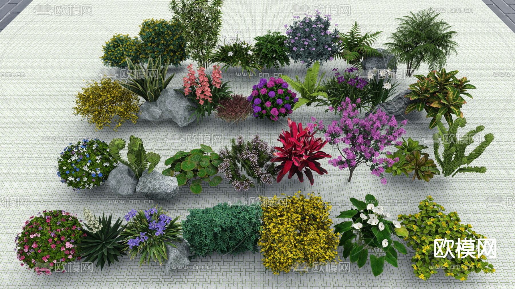 景观植物 灌木球su模型下载（渲染图2）