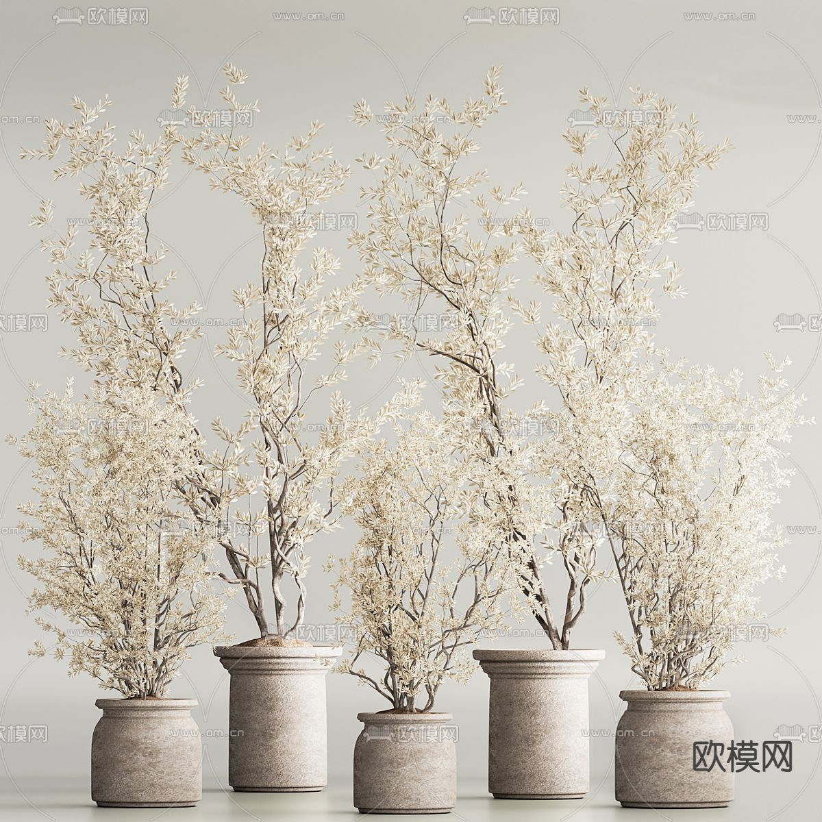 盆栽 盆景 干支 枯枝 干花3d模型下载