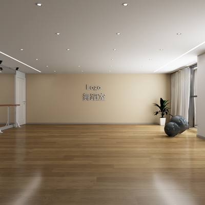  现代舞蹈室su模型 