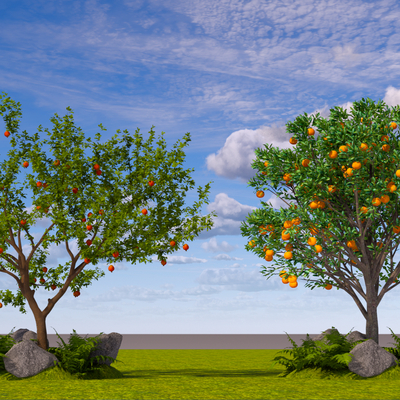  景观树 石榴树 橘子树 果树su模型 