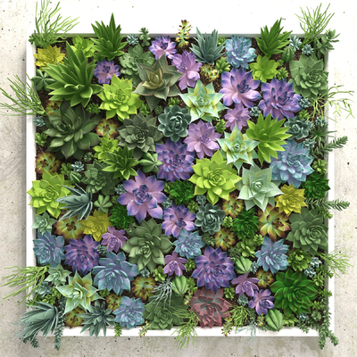  现代多肉植物墙su模型 