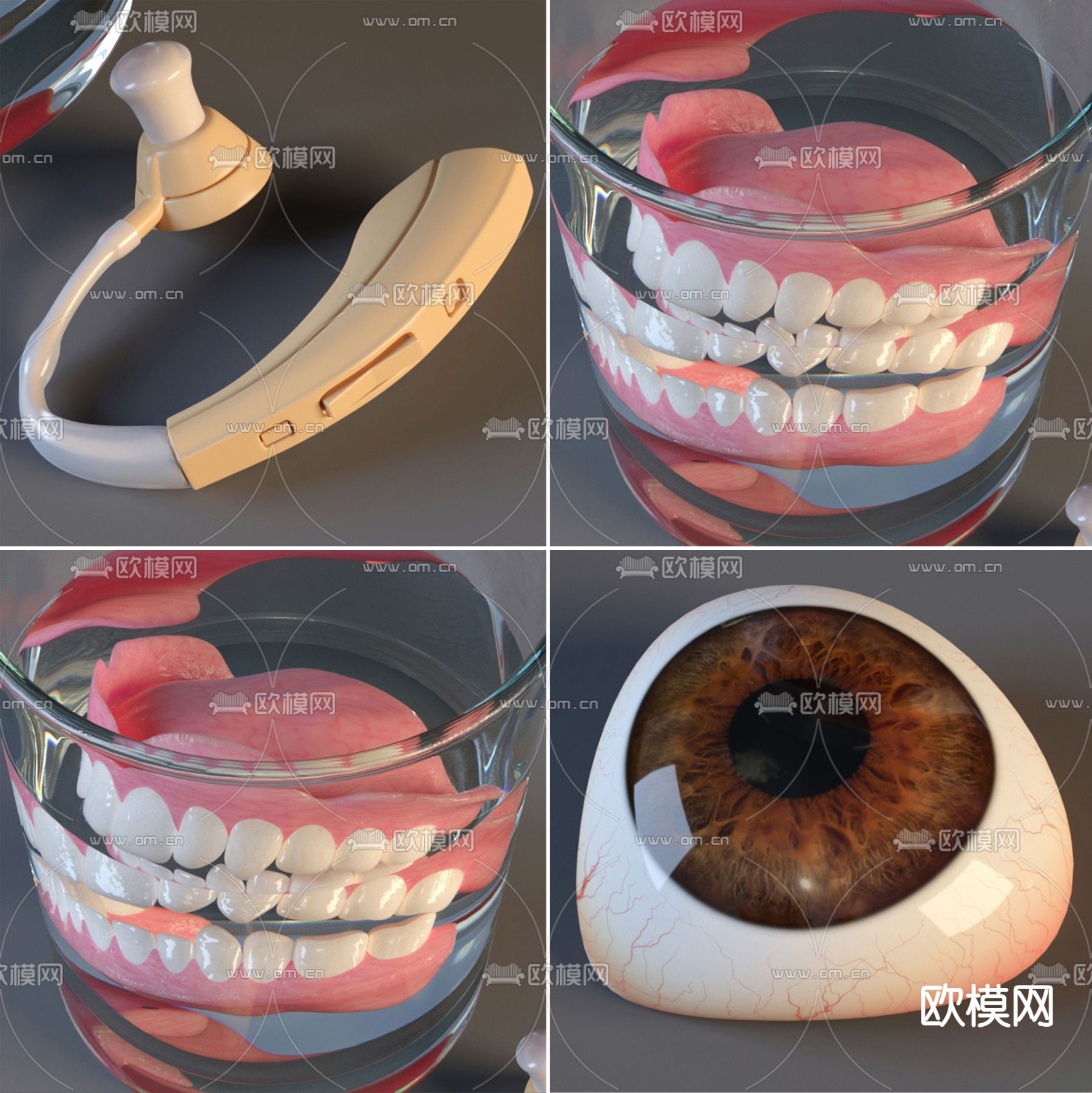 假牙套 助听器 眼球3d模型下载（渲染图2）