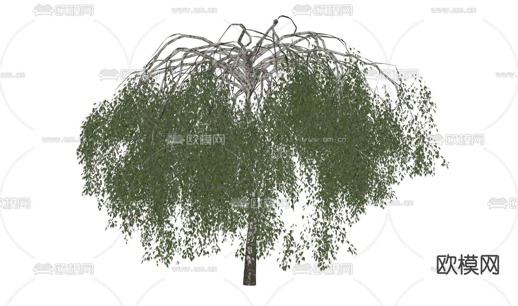 乔木su模型下载