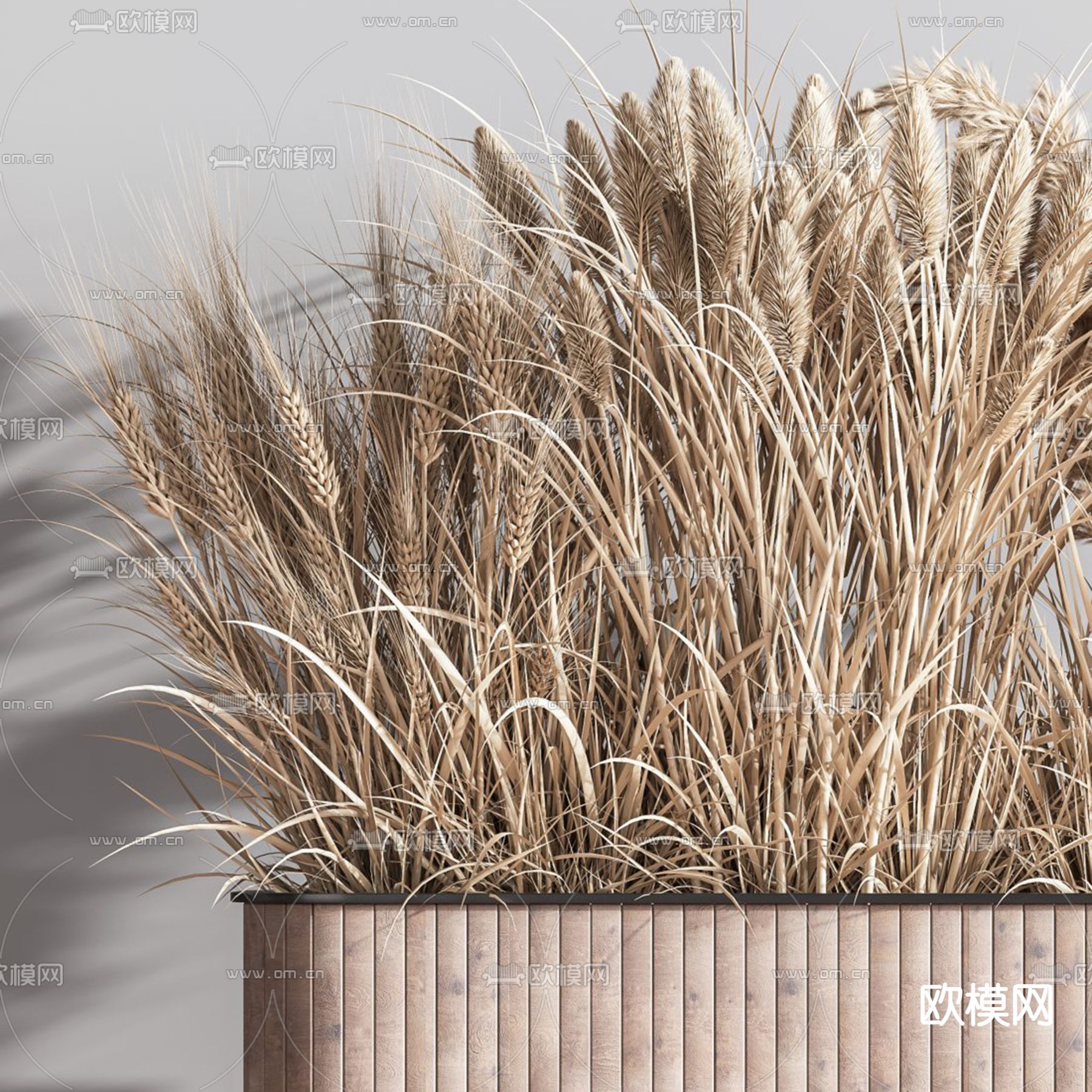 芦苇 干花 花箱 花坛3d模型下载（渲染图2）