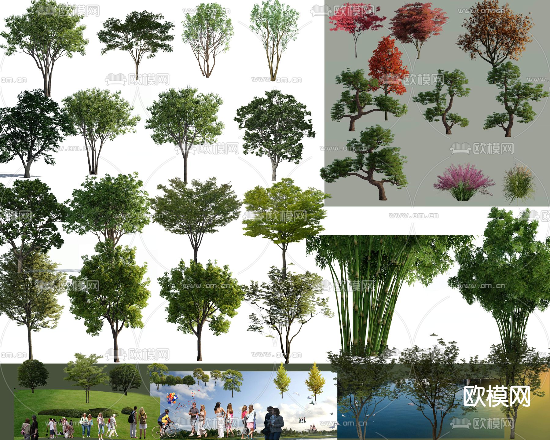 绿植 大树 植物 行人 草坪psd下载