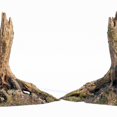  枯木 枯树su模型 