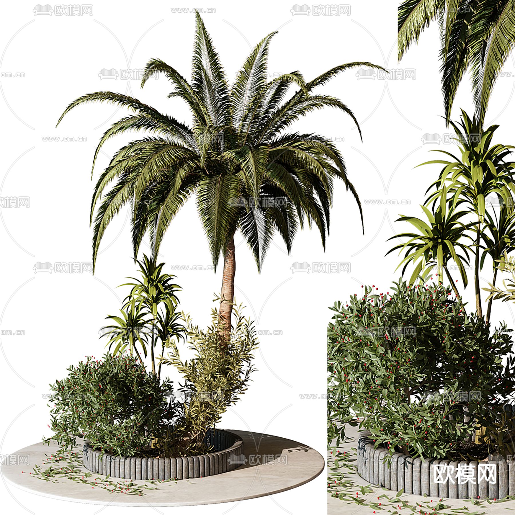 植物堆花坛su模型下载（渲染图1）