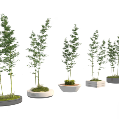  竹子 树池 花坛su模型 