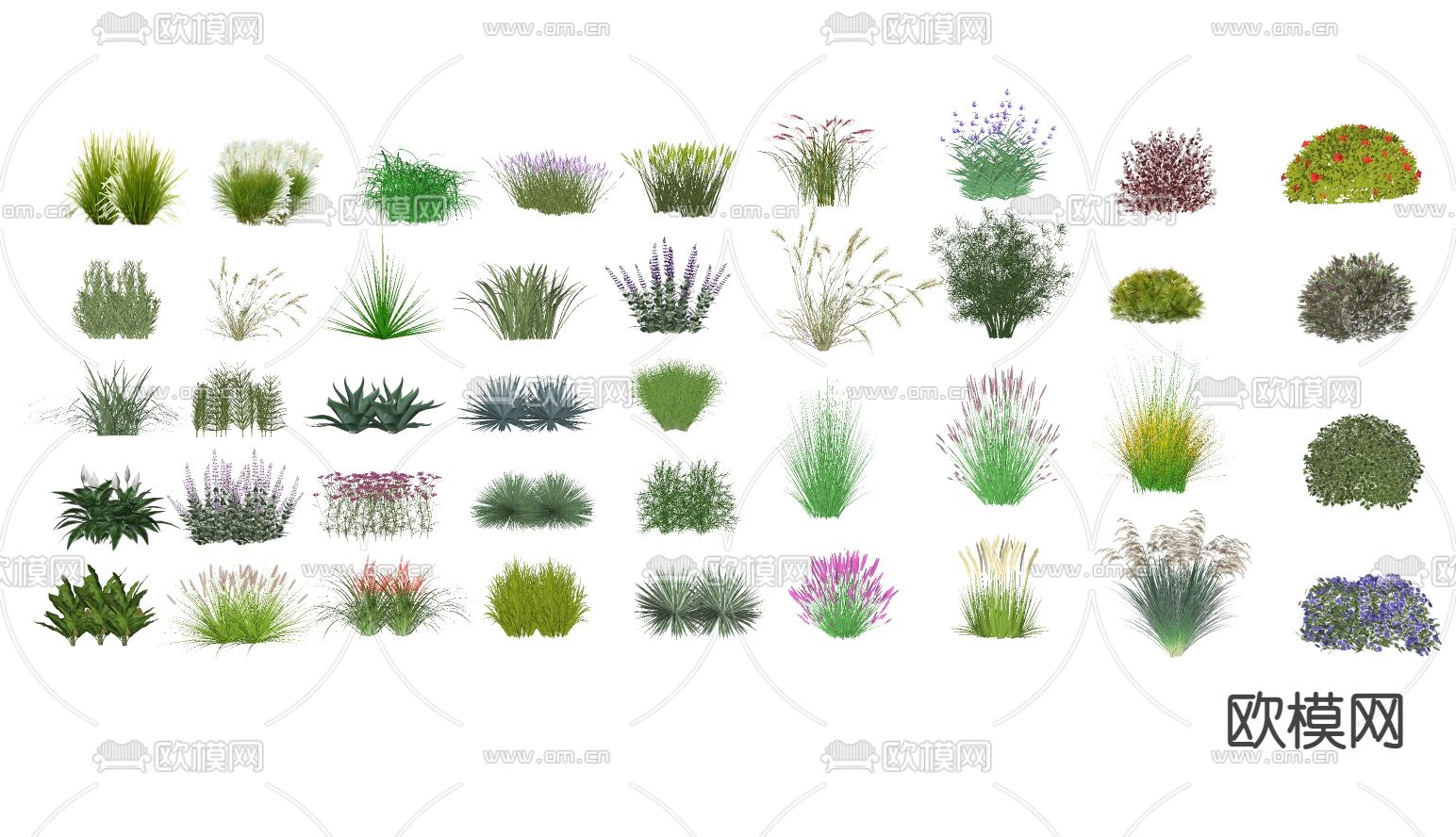 灌木su模型下载